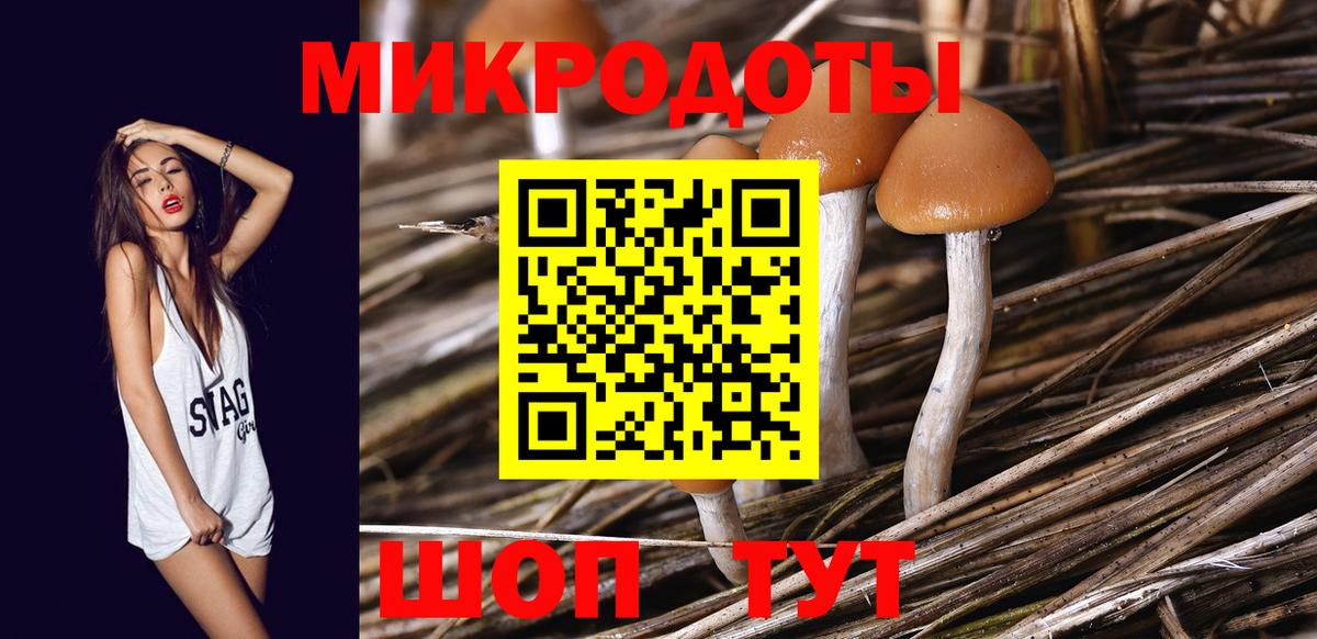 Железногорск  Псилоцибиновые грибы Magic Shrooms  Вход с VPN 